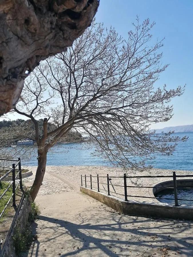 Mobile Homes Selce - Lighthouse 0*,  Croatia